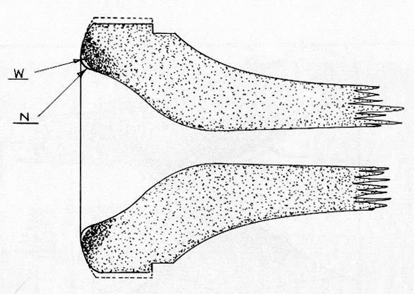 Conn Connstellation mouthpiece rim bites
